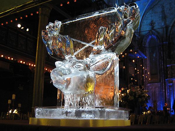 Jägermeister Deer Head Luge