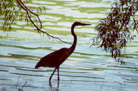 Rockland Lake Park, NY