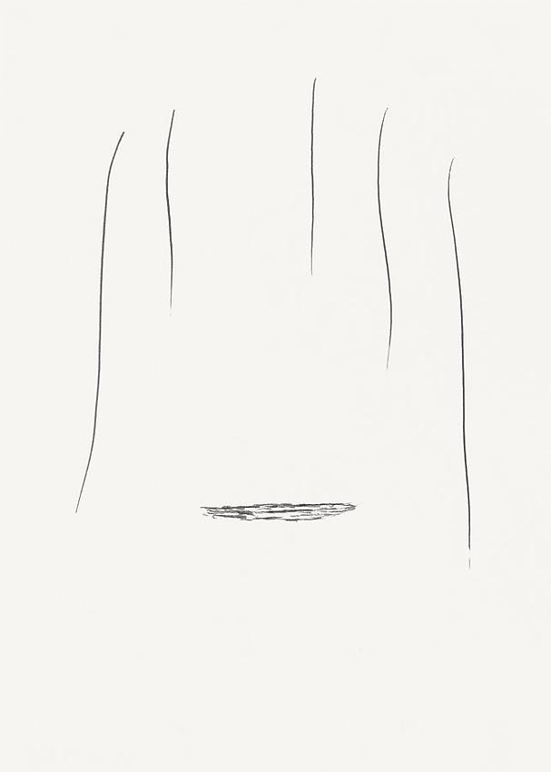 Silvia Bächli<br />Untitled<br />2010<br />india ink on paper<br />13 3/4 x 9 7/8 inches (35 x 25 cm) <br />PF1997<br />