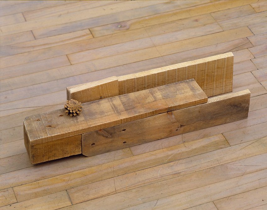 Helen Mirra<br />Emerson<br />	2006<br />	pallet wood, pine cone<br />	6 5/8 x 25 3/8 x 6 inches<br />	 (17 x 65 x 15cm)<br />