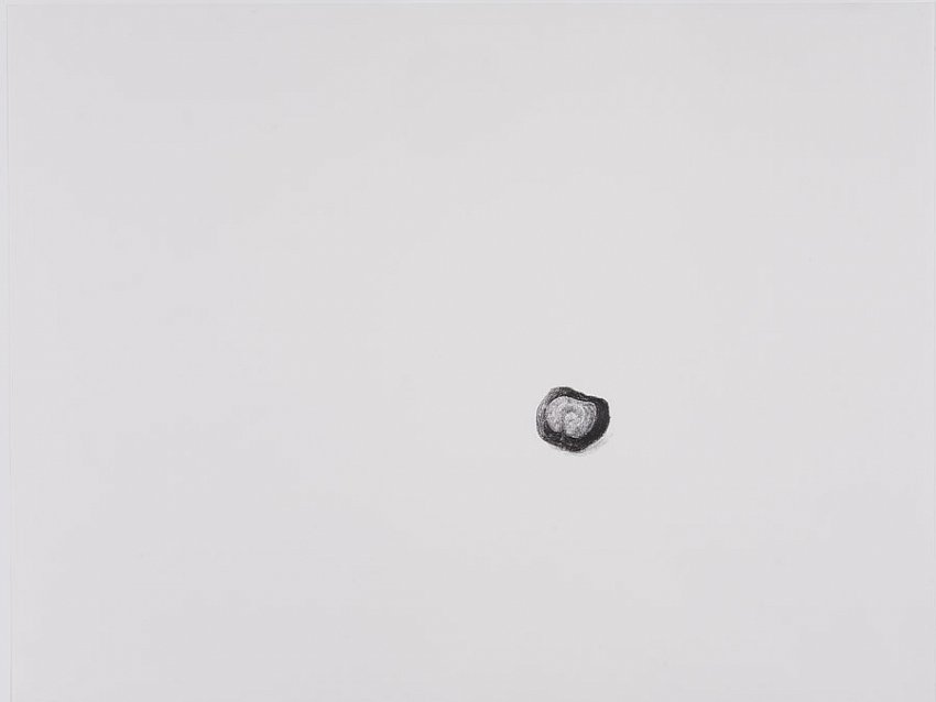 Silvia Bächli<br />Untitled<br />2007<br />crayon on paper<br />19 1/4  x 25 1/4 inches <br />  (49 x 64 cm)<br />PF1342<br />