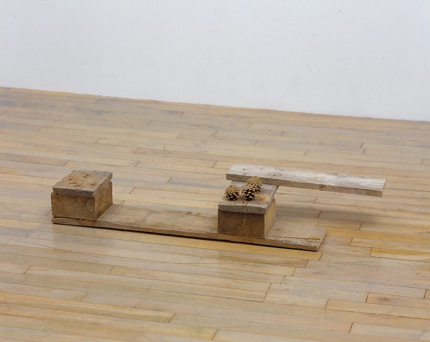 Helen Mirra<br />Ballou<br />	2006<br />	pallet wood, pine cones<br />	6 7/8 x 39 x 12 3/8 inches<br />	 (19 x 97 x 31 cm)<br />
