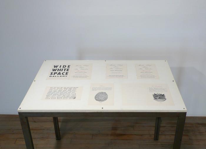 Marcel Broodthaers		(1924 - 1976)<br />Ne diets pas que je ne l'ai pas dit - Le Perroquet<br />1974<br />caged African Grey Parrot, two palm trees, a vitrine containing Broodthaers's catalogue from 1966 exhibition at Wide White Space along with a reprint from 1974, and a recording of the artist reading the poem "Moi Je dis Je Moi Je dis Je..."<br />