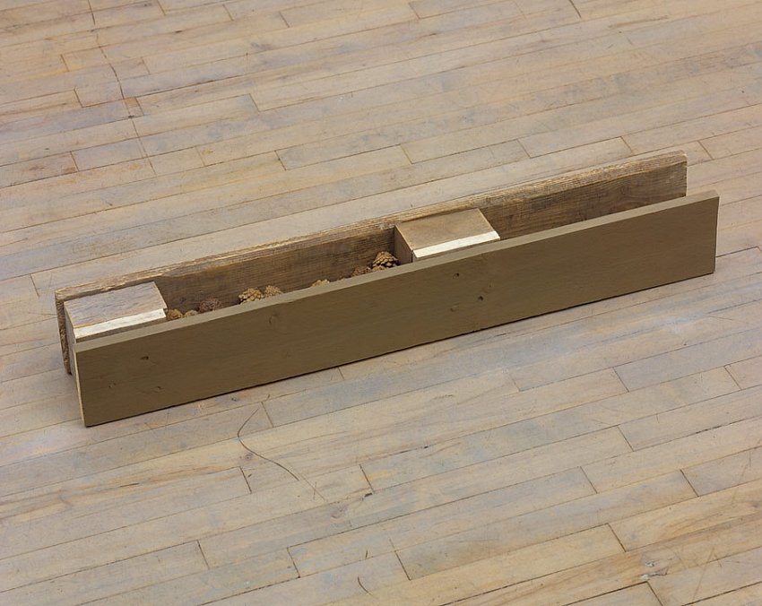 Helen Mirra<br />Star Route No. 5<br />	2006<br />	pallet wood, milk paint, pine cones<br />	5 7/8 x 40 1/2 x 5 7/8 inches<br />	 (15 x 103 x 15 cm)<br />