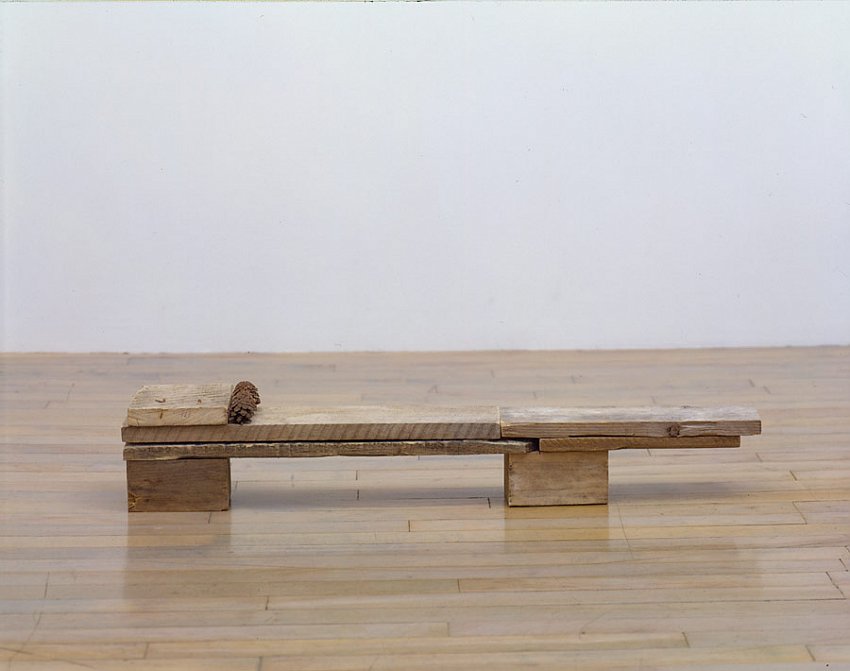 Helen Mirra<br />Oneonta<br />	2006<br />	pallet wood, pine cones<br />	6 1/4 x 34 3/4 x 5 11/16 inches<br />	 (16 x 89 x 15 cm)<br />