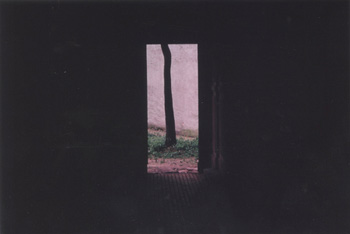 Boris Savelev<br />Black Tree Chernowitz<br />1989<br />