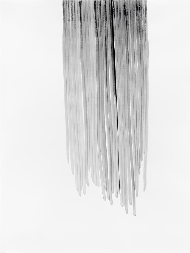 Silvia Bächli<br />Untitled (part of the installation "das")<br />2009<br />