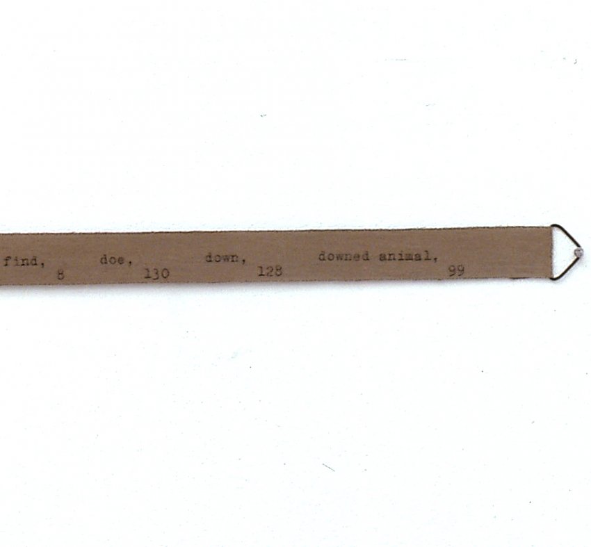 Helen Mirra<br />Downed (detail)<br />	2006<br />	ink and milk paint on cotton<br />	5/8 x 35 7/8 inches<br />	 (16 mm x 91 cm)<br />