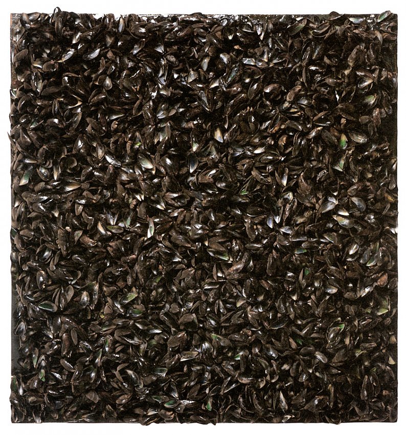 Marcel Broodthaers		(1924 - 1976)<br />Panneau de moules<br />1966<br />mussel shells, resin on panel<br />116 x 122 x 14 cm<br />  (45 3/4 x 48 x 5 1/2 inches)<br />