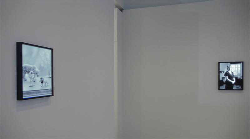 FIONA TAN<br />Provenance<br />2008<br />