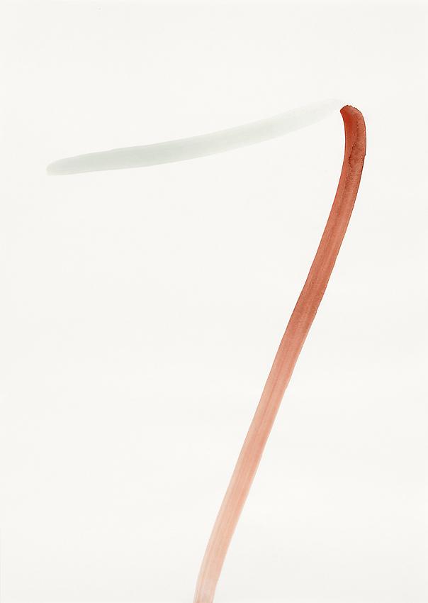 Silvia Bächli<br />Untitled (part of the installation "das")<br />2009<br />