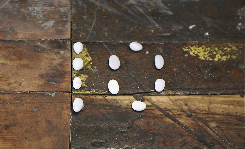 Mel Bochner<br />Ten<br />1972<br />stones on floor<br />size determined by installation<br />