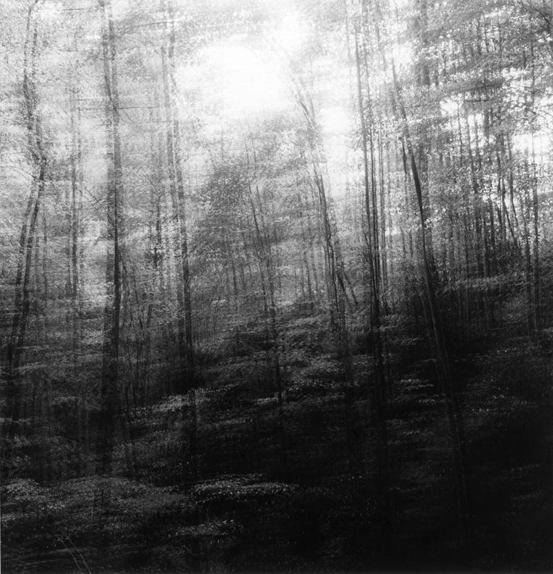 Ralph Eugene Meatyard<br />Untitled<br />c. 1968-72<br />gelatin silver print<br />image and sheet: 6 5/8 x 6 3/8 inches<br />(16.8 x 16.2 cm)<br />