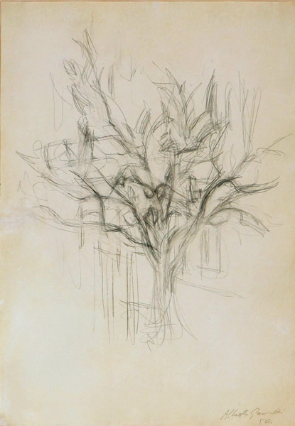 Alberto Giacometti<br />Arbre<br />1950<br />graphite on paper<br />19 3/8 x 13 1/2 inches (49.2 x 34.2 cm)<br />