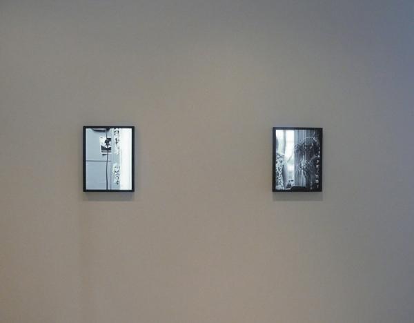 FIONA TAN<br />Provenance<br />2008<br />