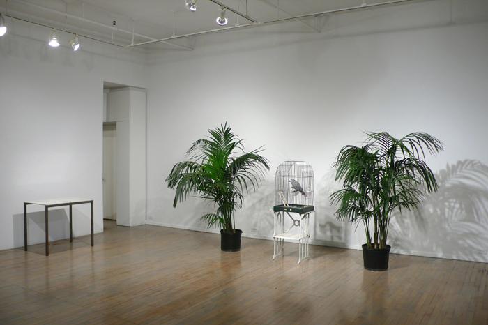 MARCEL BROODTHAERS		(1924 - 1976)<br /><br />Ne diets pas que je ne l'ai pas dit - Le Perroquet<br />1974<br />caged African Grey Parrot, two palm trees, a vitrine containing Broodthaers's catalogue from 1966 exhibition at Wide White Space along with a reprint from 1974, and a recording of the artist reading the poem "Moi Je dis Je Moi Je dis Je..."<br />