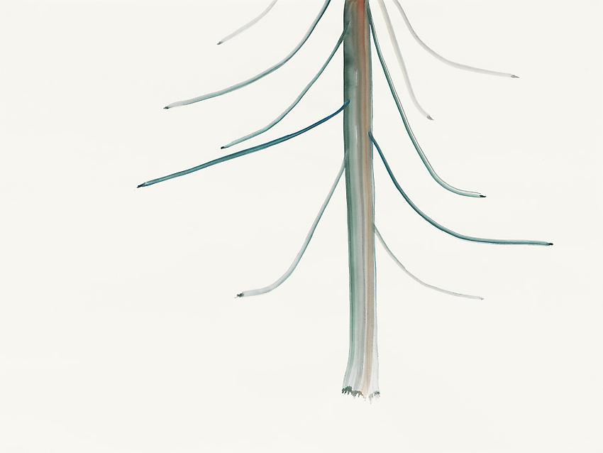 Silvia Bächli<br />Untitled<br />2010<br />gouache on paper<br />23 5/8 x 31 1/2 inches (60 x 80 cm) <br />PF1976<br />