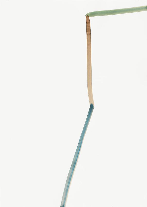 Silvia Bächli<br />Untitled<br />2010<br />gouache on paper<br />24 3/8 x 17 3/8 inches (62 x 44 cm) <br />PF1991<br />