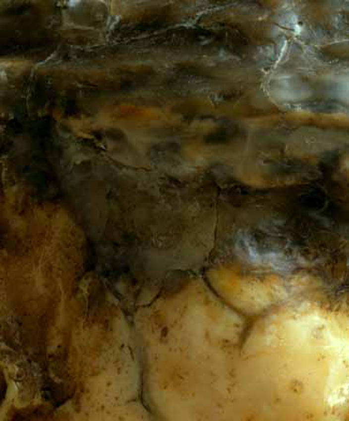 Medardo Rosso<br />[detail] Carne altrui<br />1883<br />