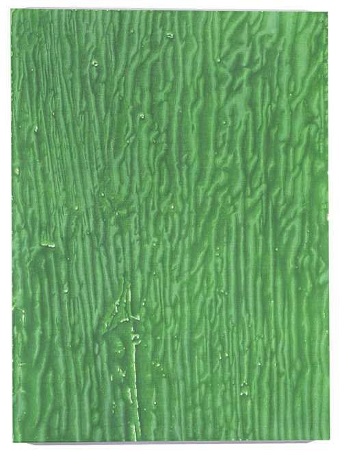 Alex Hay<br />Old Green '05		<br />	2005		<br />	spray acrylic and stencil on linen<br />	63 3/16 x 46 7/8 inches<br />	 (160.5 x 119.06 cm)<br />