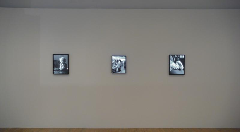 FIONA TAN<br />Provenance<br />2008<br />