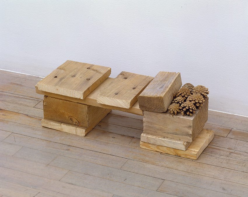 Helen Mirra<br />Unirondack<br />	2006<br />	pallet wood, pine cones<br />	7 1/16 x 19 1/4 x 7 1/8 inches<br />	 (16 x 50 x 18 cm)<br />
