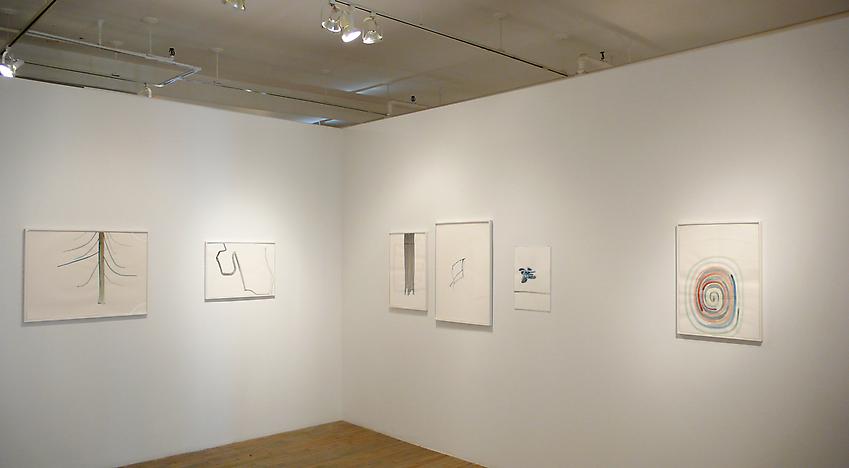 Silvia Bächli: Fjall<br />Installation<br />