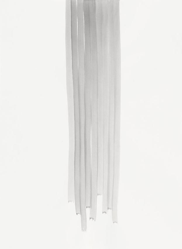 Silvia Bächli<br />Untitled<br />2010<br />gouache on paper<br />29 1/2 x 21 5/8 inches (75 x 55 cm) <br />PF1973<br />