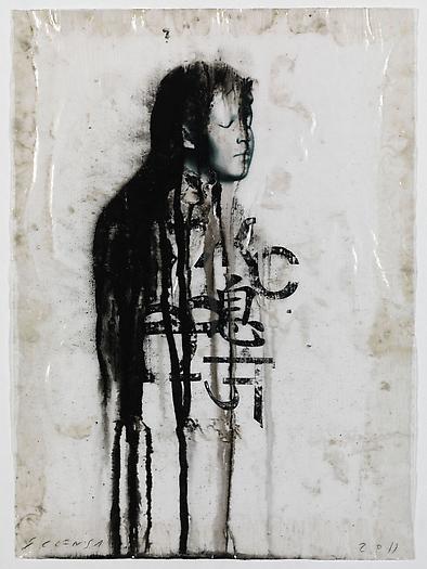 Veiled Shadow XIX, 2011
Mixed media on paper
16 1/2 x 11 3/4 inches
42 x 30 cm