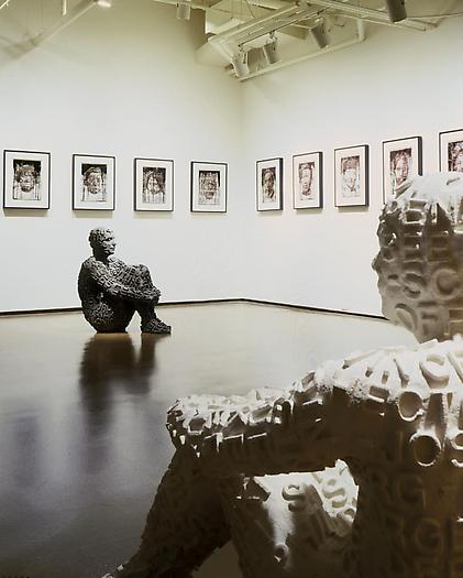 Chicago installation