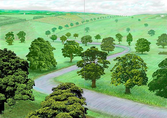 A Bigger Green Valley, 2008
Inkjet printed computer drawing on two sheets of paper
60 3/4 x 85 1/2 in.
154.31 x 217.17 cm