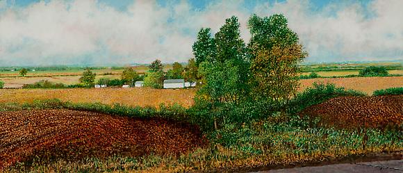 Illinois Landscape #226, 2010
Oil and acrylic on canvas
18 x 42 in.
46 x 108 cm