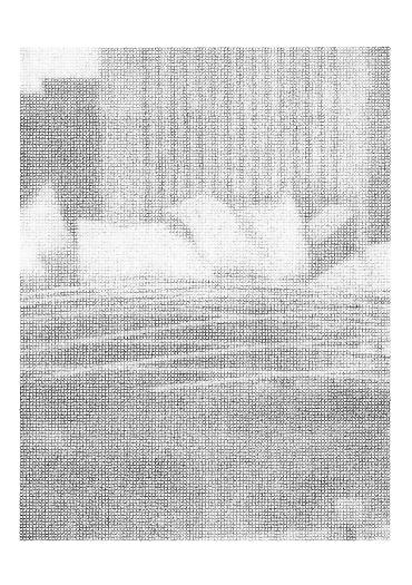 Chicago, 2010
Ink and graphite on paper
11 11/16 x 8 1/4 in.
29.7 x 21 cm