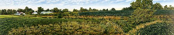 Illinois Landscape #158, 1999
Acrylic on canvas
18 x 90 in.
45.7 x 228.6 cm