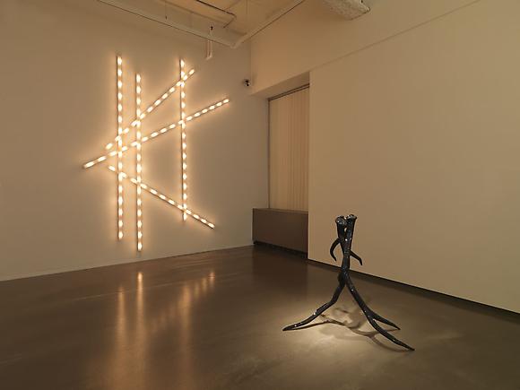 Installation view