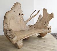 A Large Yew Wood Bench