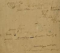 A Framed Section of Wall Paneling