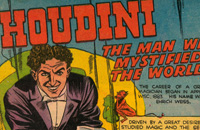TRUE COMIC STORIES Image