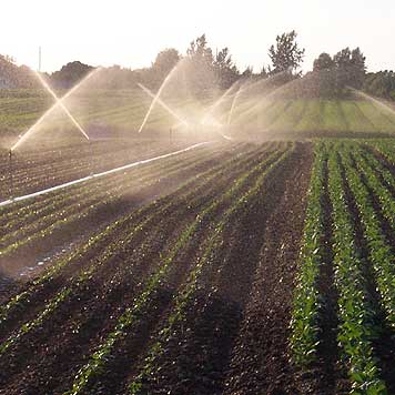 Irrigation
