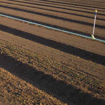 Healthy Soil
