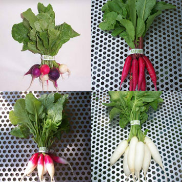 Radishes