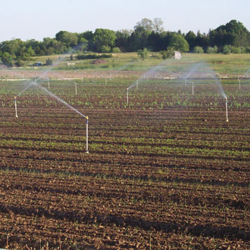 Irrigation