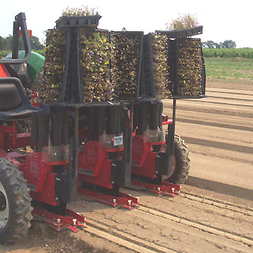Transplanting