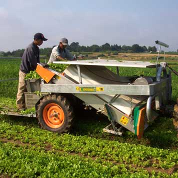 Harvest