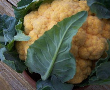 Cauliflower