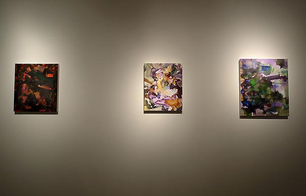 Nicole Mauser
Installation shot Image