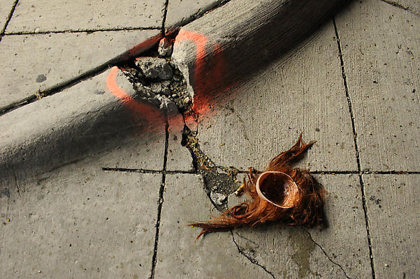 Liza Berkoff
SCALPED, 2008
C-PRINT
28 X 42 INCHES Image