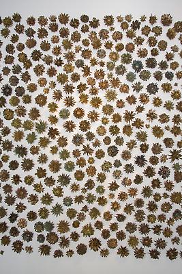 Carolyn Ottmers
Fall, 2010
cast bronze
dimensions variable Image