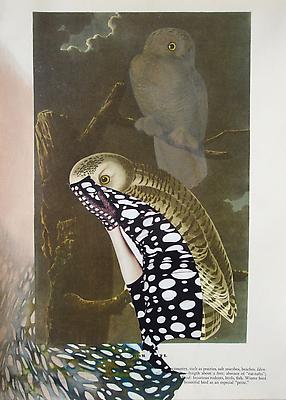 Megan Greene
Audubon Drawing Series
121, 2010
mixed media on paper
12 1/4 x 9 inches Image