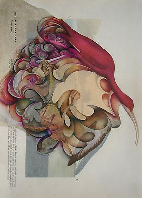 Megan Greene
Audubon Drawing Series
397, 2010
mixed media on paper
12 1/4 x 9 inches Image